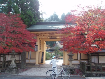 高野山　紅葉.jpg